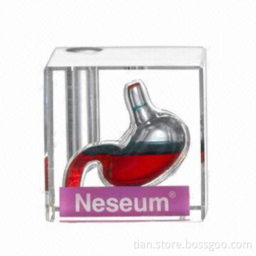 Acrylic stomach model paperweight for teaching and display